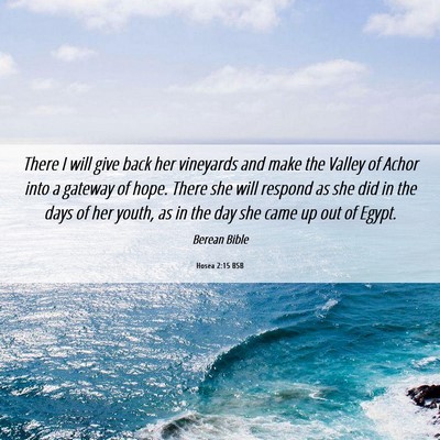 Picture 06 - Hosea 2:15 BSB - There I will give back her vineyards and make the - Bible Verse Picture