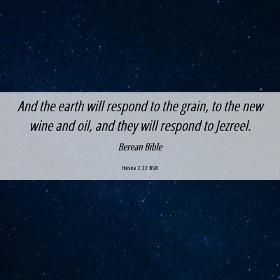 Picture 06 - Hosea 2:22 BSB - And the earth will respond to the grain, to the - Bible Verse Picture