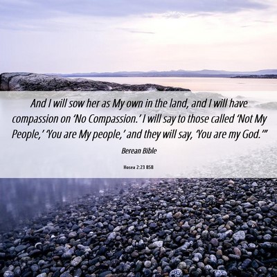 Picture 06 - Hosea 2:23 BSB - And I will sow her as My own in the land, and I - Bible Verse Picture