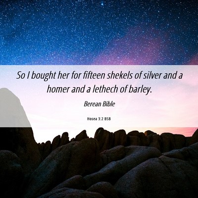 Picture 06 - Hosea 3:2 BSB - So I bought her for fifteen shekels of silver and - Bible Verse Picture
