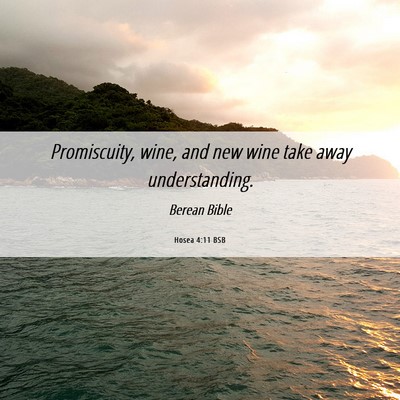 Picture 06 - Hosea 4:11 BSB - Promiscuity, wine, and new wine take away - Bible Verse Picture