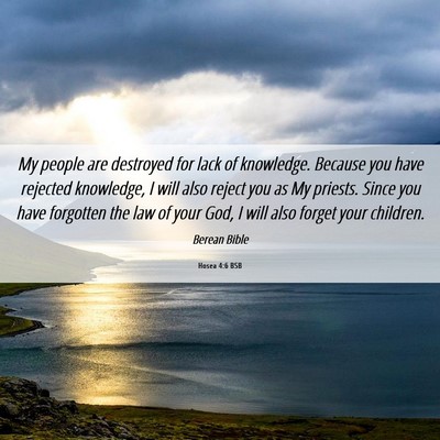 Picture 06 - Hosea 4:6 BSB - My people are destroyed for lack of knowledge. - Bible Verse Picture