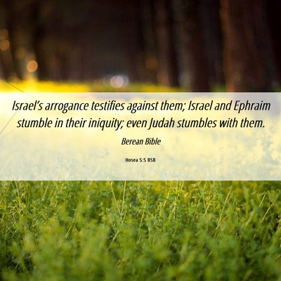 Picture 06 - Hosea 5:5 BSB - Israel’s arrogance testifies against them; - Bible Verse Picture