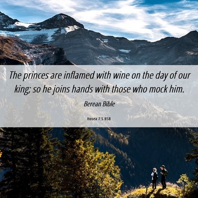 Picture 06 - Hosea 7:5 BSB - The princes are inflamed with wine on the day of - Bible Verse Picture