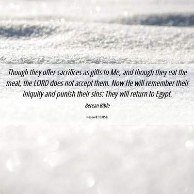 Picture 06 - Hosea 8:13 BSB - Though they offer sacrifices as gifts to Me, and - Bible Verse Picture