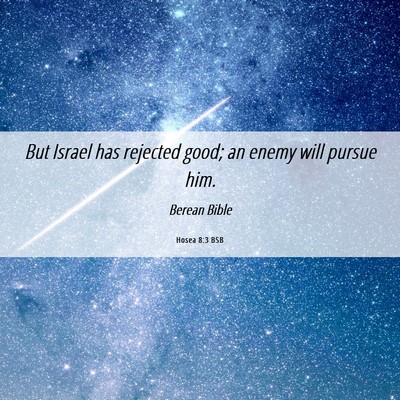 Picture 06 - Hosea 8:3 BSB - But Israel has rejected good; an enemy will - Bible Verse Picture