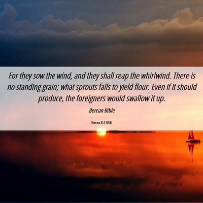 Picture 06 - Hosea 8:7 BSB - For they sow the wind, and they shall reap the - Bible Verse Picture