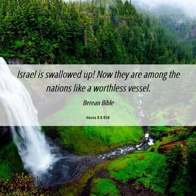 Picture 06 - Hosea 8:8 BSB - Israel is swallowed up! Now they are among the - Bible Verse Picture