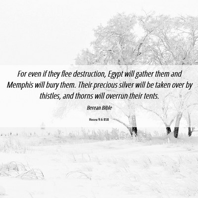 Picture 06 - Hosea 9:6 BSB - For even if they flee destruction, Egypt will - Bible Verse Picture
