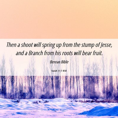 Picture 06 - Isaiah 11:1 BSB - Then a shoot will spring up from the stump of - Bible Verse Picture