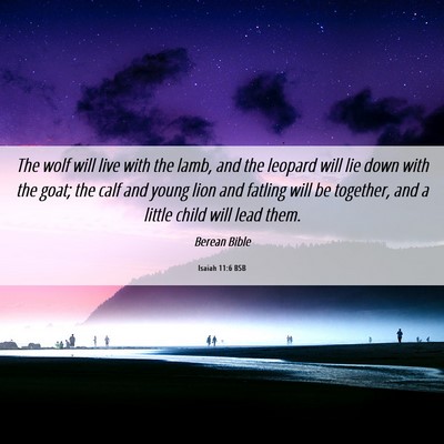 Picture 06 - Isaiah 11:6 BSB - The wolf will live with the lamb, and the leopard - Bible Verse Picture