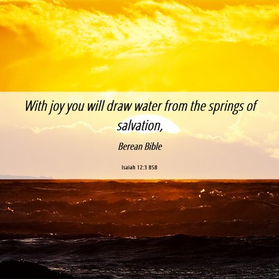 Picture 06 - Isaiah 12:3 BSB - With joy you will draw water from the springs of - Bible Verse Picture
