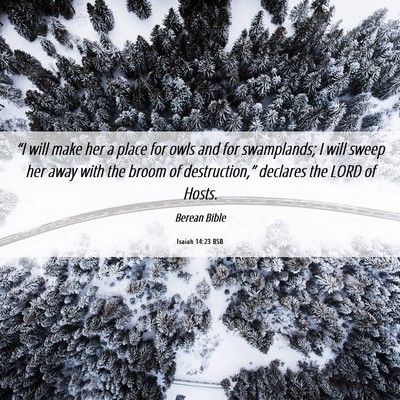Picture 06 - Isaiah 14:23 BSB - “I will make her a place for owls and for - Bible Verse Picture