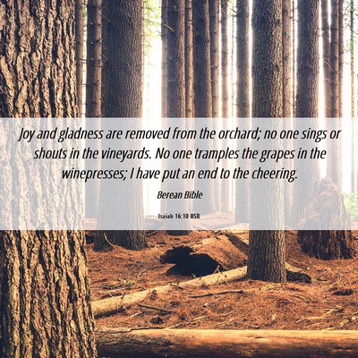 Picture 06 - Isaiah 16:10 BSB - Joy and gladness are removed from the orchard; no - Bible Verse Picture