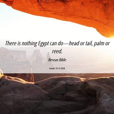 Picture 06 - Isaiah 19:15 BSB - There is nothing Egypt can do—head or tail, - Bible Verse Picture