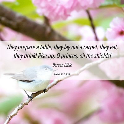 Picture 06 - Isaiah 21:5 BSB - They prepare a table, they lay out a carpet, they - Bible Verse Picture