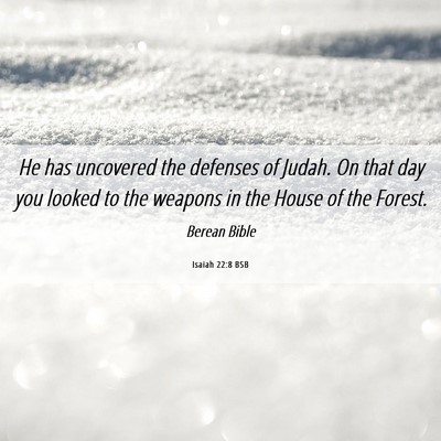 Picture 06 - Isaiah 22:8 BSB - He has uncovered the defenses of Judah. On that - Bible Verse Picture