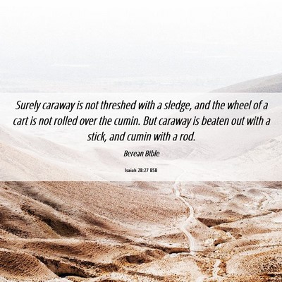 Picture 06 - Isaiah 28:27 BSB - Surely caraway is not threshed with a sledge, and - Bible Verse Picture