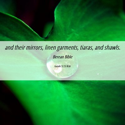 Picture 06 - Isaiah 3:23 BSB - and their mirrors, linen garments, tiaras, and - Bible Verse Picture