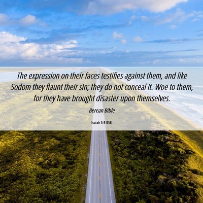 Picture 06 - Isaiah 3:9 BSB - The expression on their faces testifies against - Bible Verse Picture