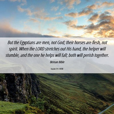Picture 06 - Isaiah 31:3 BSB - But the Egyptians are men, not God; their horses - Bible Verse Picture