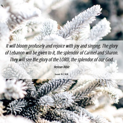 Picture 06 - Isaiah 35:2 BSB - It will bloom profusely and rejoice with joy and - Bible Verse Picture