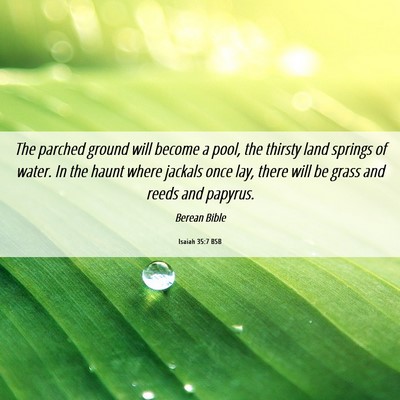 Picture 06 - Isaiah 35:7 BSB - The parched ground will become a pool, the - Bible Verse Picture