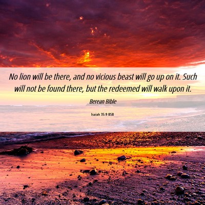 Picture 06 - Isaiah 35:9 BSB - No lion will be there, and no vicious beast will - Bible Verse Picture