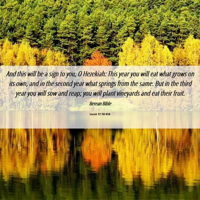 Picture 06 - Isaiah 37:30 BSB - And this will be a sign to you, O Hezekiah: This - Bible Verse Picture