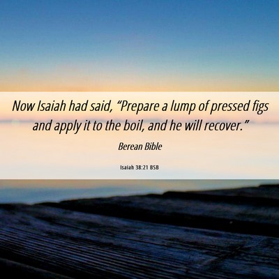 Picture 06 - Isaiah 38:21 BSB - Now Isaiah had said, “Prepare a lump of pressed - Bible Verse Picture