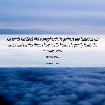Picture 06 - Isaiah 40:11 BSB - He tends His flock like a shepherd; He gathers - Bible Verse Picture