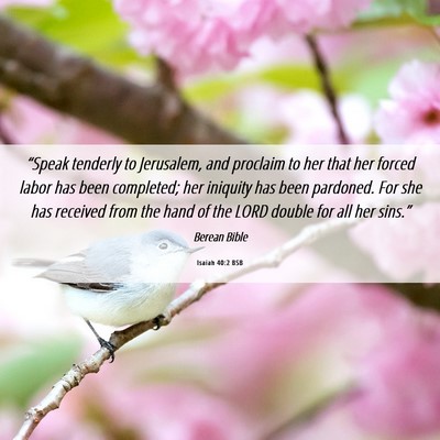Picture 06 - Isaiah 40:2 BSB - “Speak tenderly to Jerusalem, and proclaim to - Bible Verse Picture
