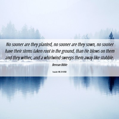 Picture 06 - Isaiah 40:24 BSB - No sooner are they planted, no sooner are they - Bible Verse Picture