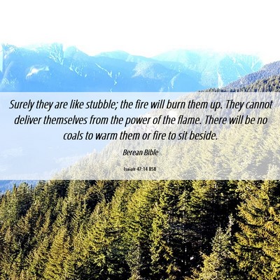 Picture 06 - Isaiah 47:14 BSB - Surely they are like stubble; the fire will burn - Bible Verse Picture