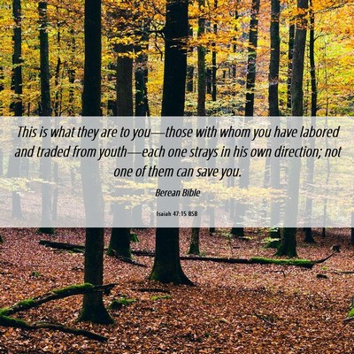 Picture 06 - Isaiah 47:15 BSB - This is what they are to you—those with whom - Bible Verse Picture