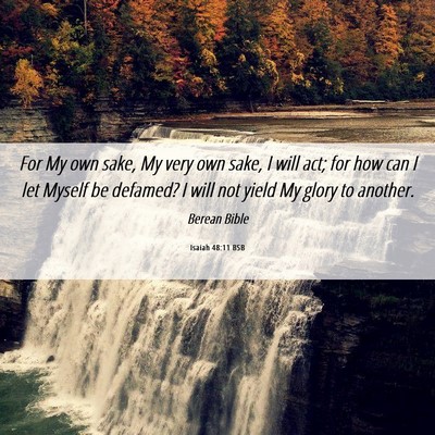 Picture 06 - Isaiah 48:11 BSB - For My own sake, My very own sake, I will act; - Bible Verse Picture