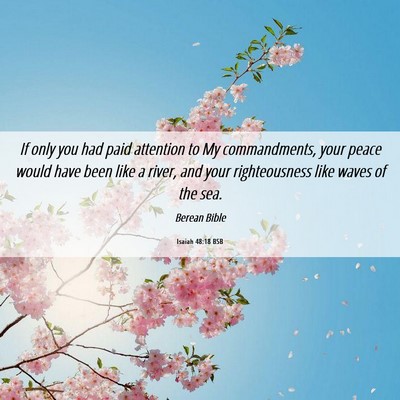Picture 06 - Isaiah 48:18 BSB - If only you had paid attention to My - Bible Verse Picture