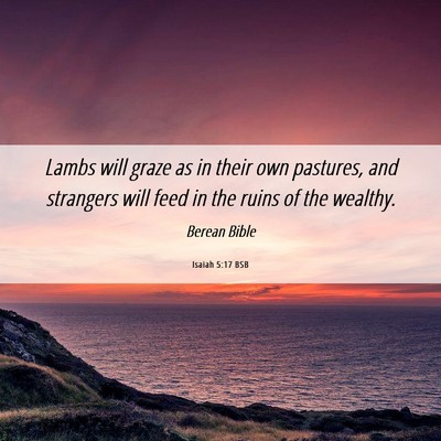 Picture 06 - Isaiah 5:17 BSB - Lambs will graze as in their own pastures, and - Bible Verse Picture