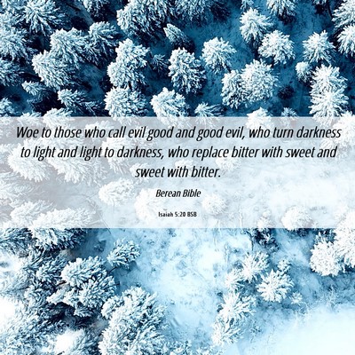 Picture 06 - Isaiah 5:20 BSB - Woe to those who call evil good and good evil, - Bible Verse Picture