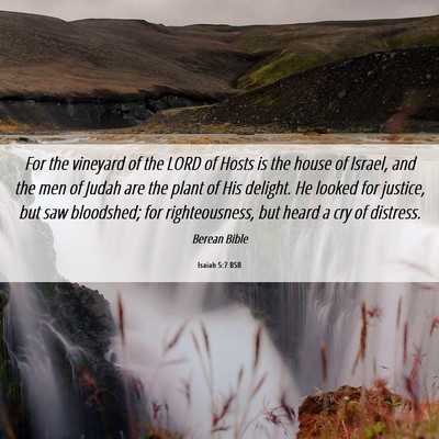 Picture 06 - Isaiah 5:7 BSB - For the vineyard of the LORD of Hosts is the - Bible Verse Picture