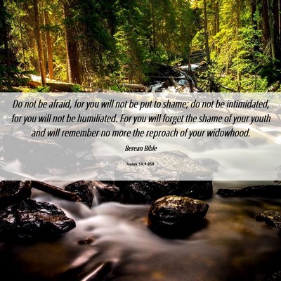 Picture 06 - Isaiah 54:4 BSB - Do not be afraid, for you will not be put to - Bible Verse Picture