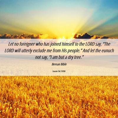 Picture 06 - Isaiah 56:3 BSB - Let no foreigner who has joined himself to the - Bible Verse Picture