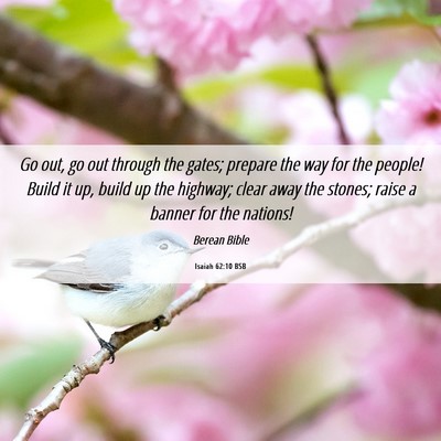 Picture 06 - Isaiah 62:10 BSB - Go out, go out through the gates; prepare the way - Bible Verse Picture