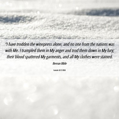 Picture 06 - Isaiah 63:3 BSB - “I have trodden the winepress alone, and no one - Bible Verse Picture