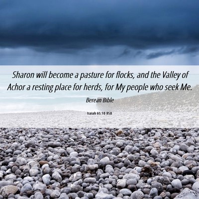 Picture 06 - Isaiah 65:10 BSB - Sharon will become a pasture for flocks, and the - Bible Verse Picture