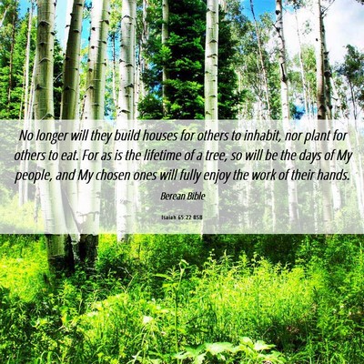 Picture 06 - Isaiah 65:22 BSB - No longer will they build houses for others to - Bible Verse Picture