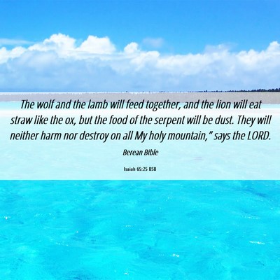 Picture 06 - Isaiah 65:25 BSB - The wolf and the lamb will feed together, and the - Bible Verse Picture
