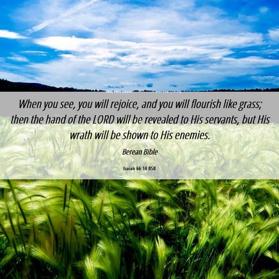 Picture 06 - Isaiah 66:14 BSB - When you see, you will rejoice, and you will - Bible Verse Picture
