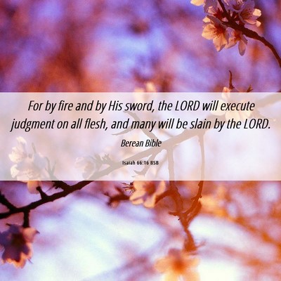 Picture 06 - Isaiah 66:16 BSB - For by fire and by His sword, the LORD will - Bible Verse Picture