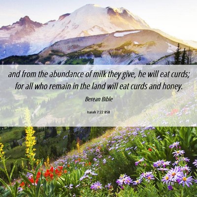 Picture 06 - Isaiah 7:22 BSB - and from the abundance of milk they give, he will - Bible Verse Picture
